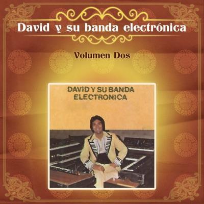  - David y Su Banda Electronica