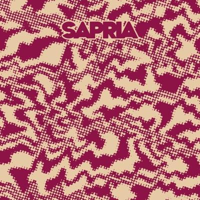 Liar's Lust/Breal My Bones 45 - Sapia
