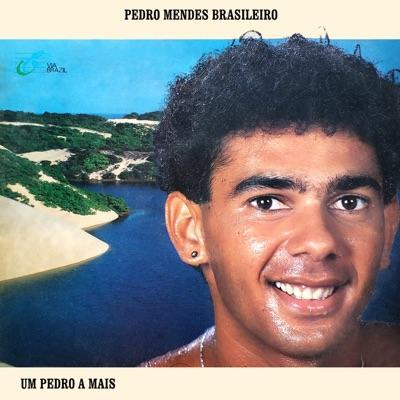  - Pedrinho Mendes