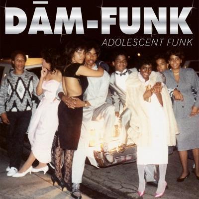  - DāM FunK