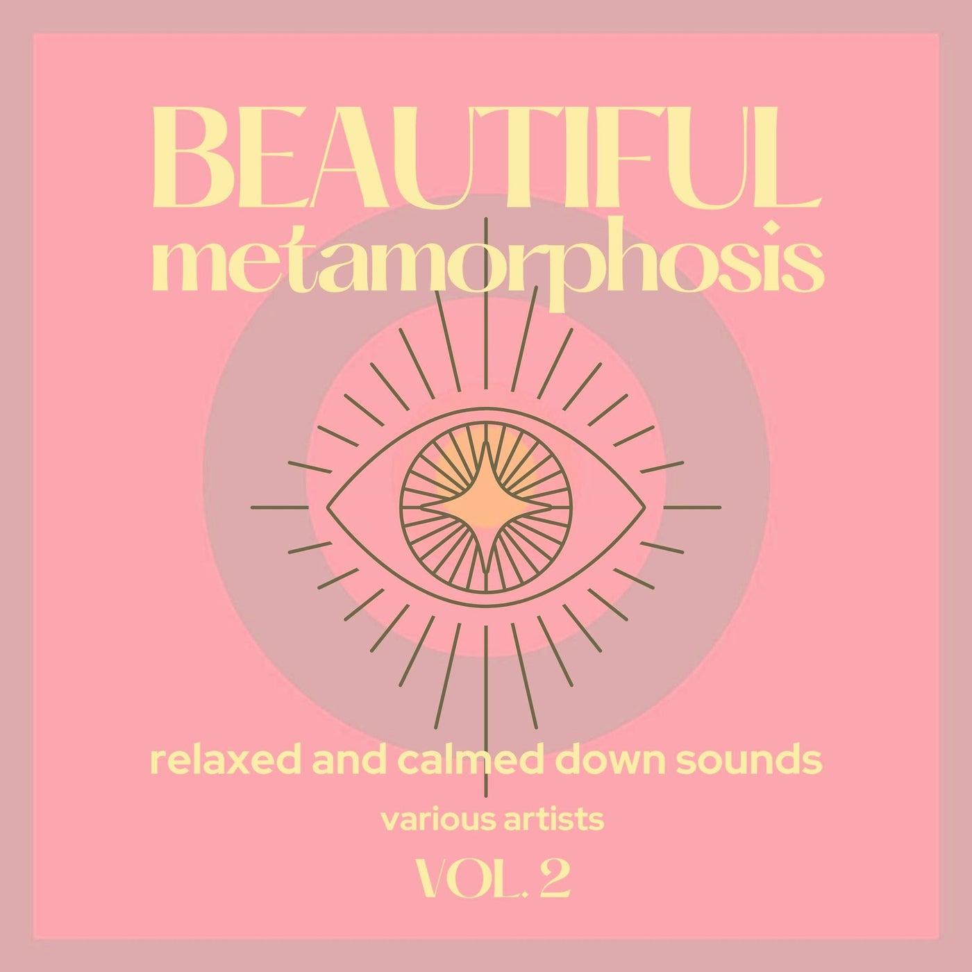 Beautiful Metamorphosis (Relaxed and Calmed Down Sounds), Vol. 2 - Bahramji, Maneesh De Moor, Feat. Bashir, Zhubin Kalhor And Sudha