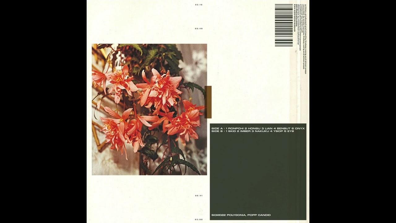  - Polygonia & Popp