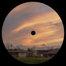 PALMS070 - Tom Vernon