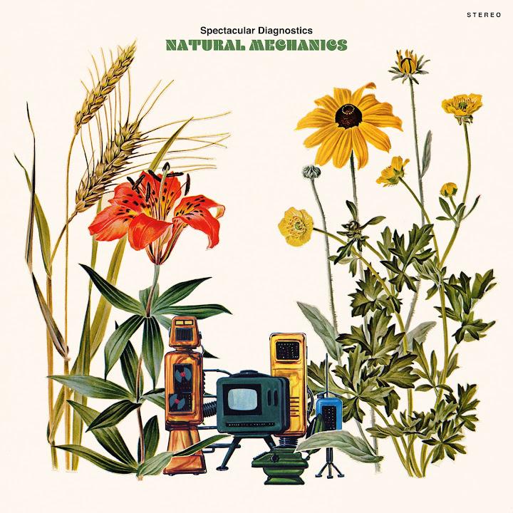 Natural Mechanics - Spectacular Diagnostics & lojii