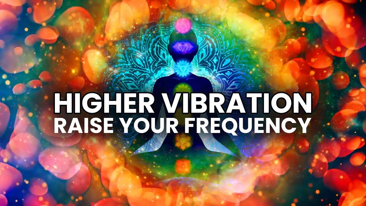  - The Vibrations