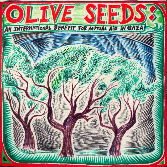 Olive Seeds: An International Benefit for Mutual Aid in Gaza - Kārtël