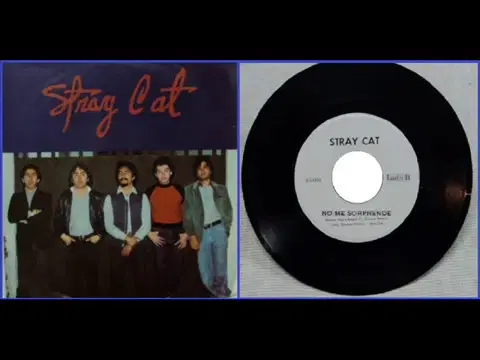  - Stray Cat