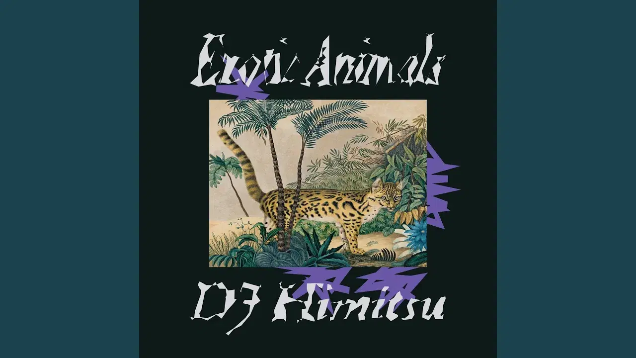  - DJ Himitsu