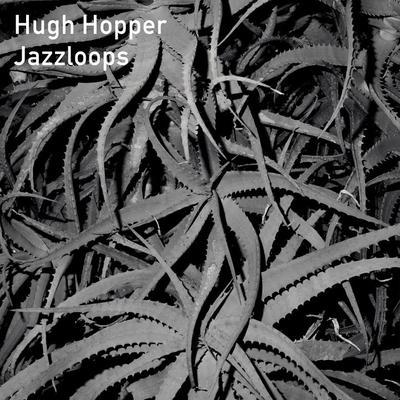Jazzloops - Hugh Hopper