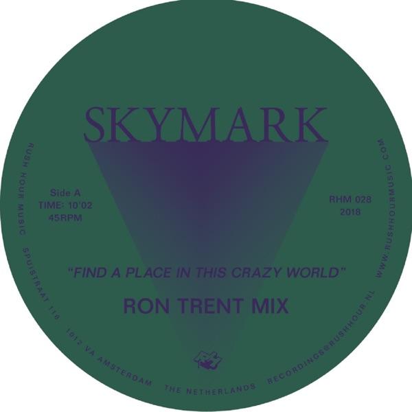 Find A Place In This Crazy World - Skymark