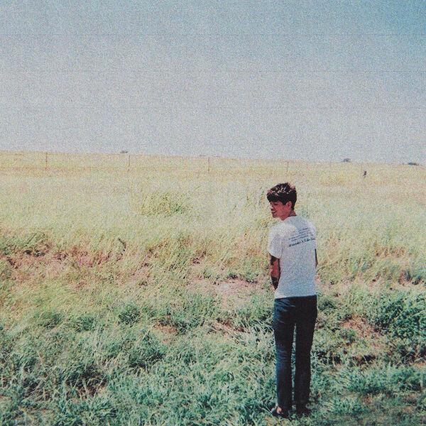 Whirr & Nothing - Whirr
