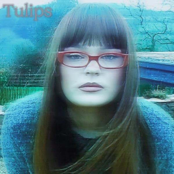 Tulips - Lollie