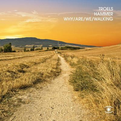 Troels Hammer - Why Are We Walking - Troels Hammer