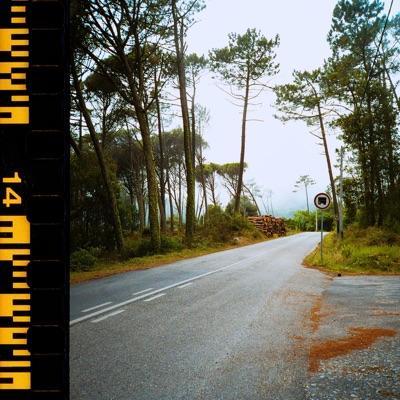 Deciduous Dubs EP - Dan Only