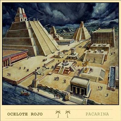 - Ocelote Rojo (Francisco Aravena)