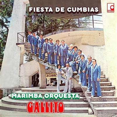  - Marimba Gallito