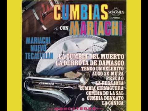 Cumbia De Sal / Cumbia Del Gato - Mariachi Nuevo Tecalitlan