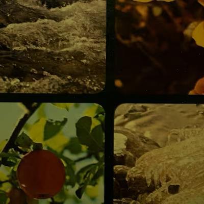 Electone Fantastic - Vivaldi: Four Seasons - Koichi Oki