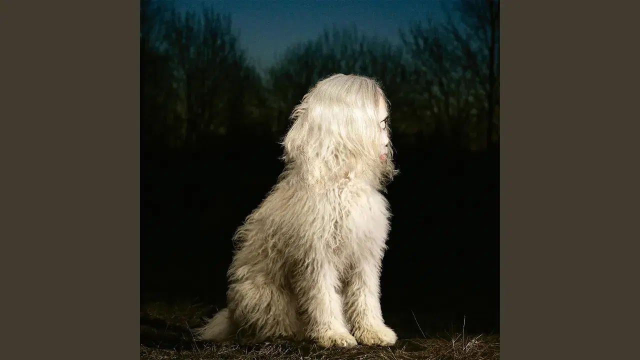 DOGA - Juana Molina