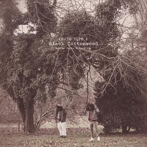 Black Cottonwood - Cavalier, Quelle Chris