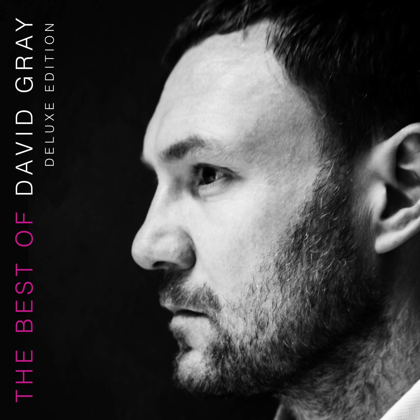 The Best of David Gray (Deluxe Edition) - David Gray