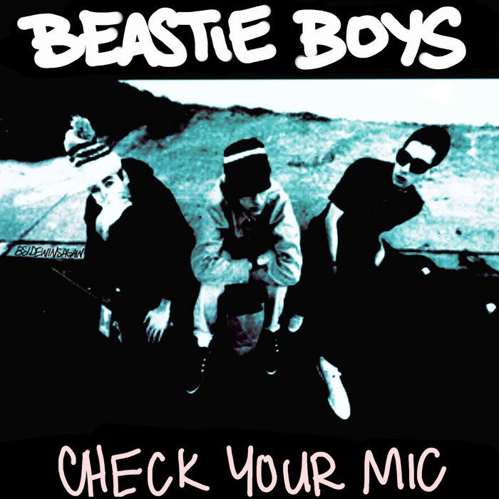 Check Your Mic - Bsidewinsagain