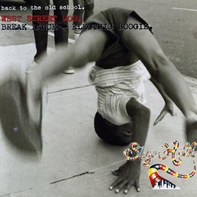 A Complete Introduction to Sugar Hill Records - West Street Mob