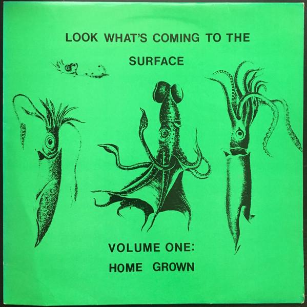 Look What's Coming To The Surface Volume One: Home Grown - Boo to the Goose