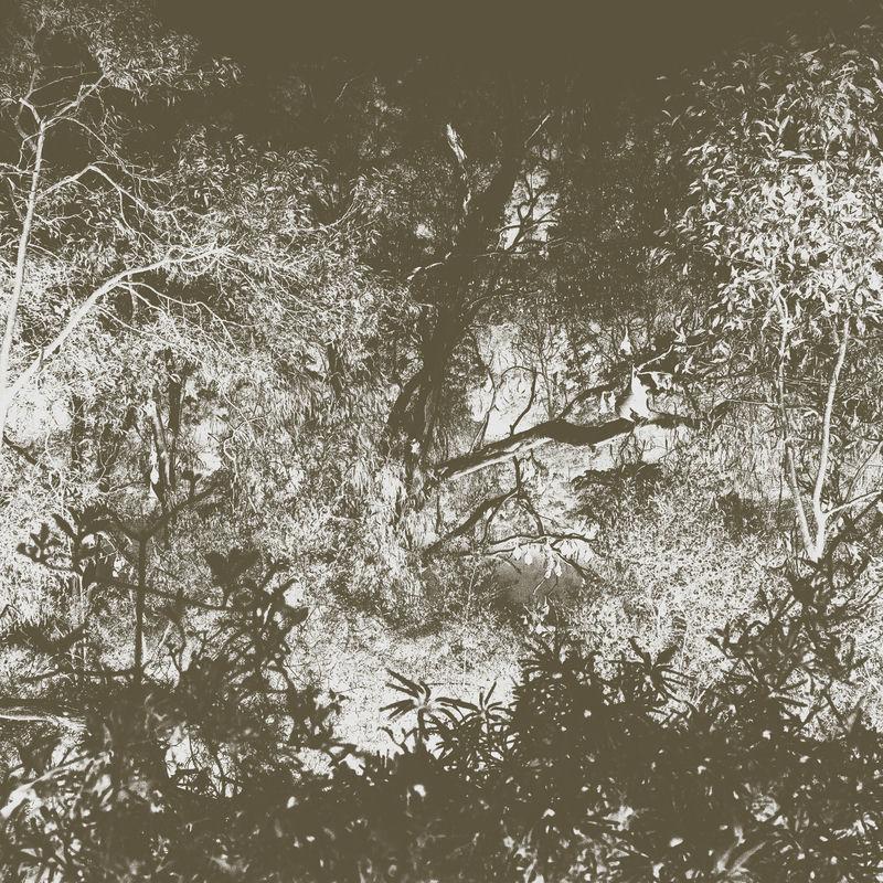 Luxury Bat - Cold Hands Warm Heart