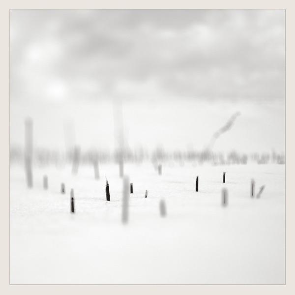 In a Place of Such Graceful Shapes - Taylor Deupree + Marcus Fischer