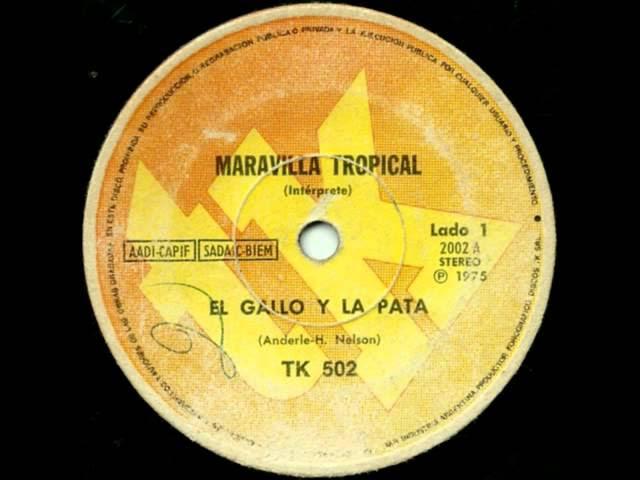  - Maravilla Tropical