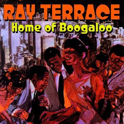 Brown Sugar - Latin Breakbeats, Basslines & Boogaloo - Ray Terrace
