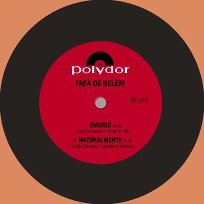 Bossa & Beyond, CD 1 - Fafa De Belem