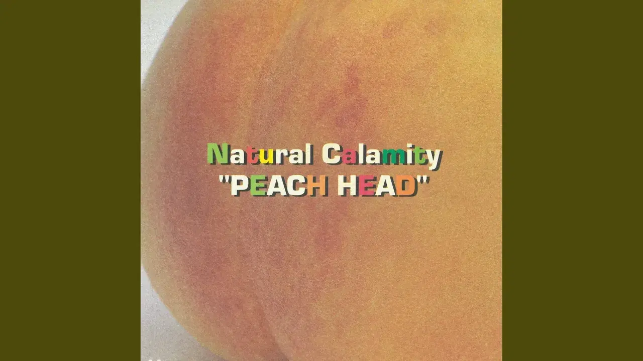  - Natural Calamity