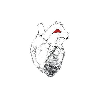 The Beggar - SWANS