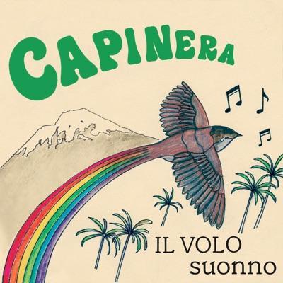  - Capinera