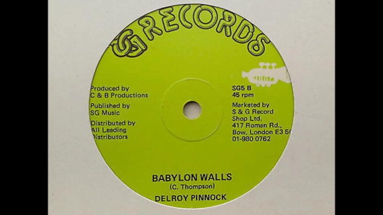 Rub a Dub Vinyl Rip Part 2 - Delroy Pinnock