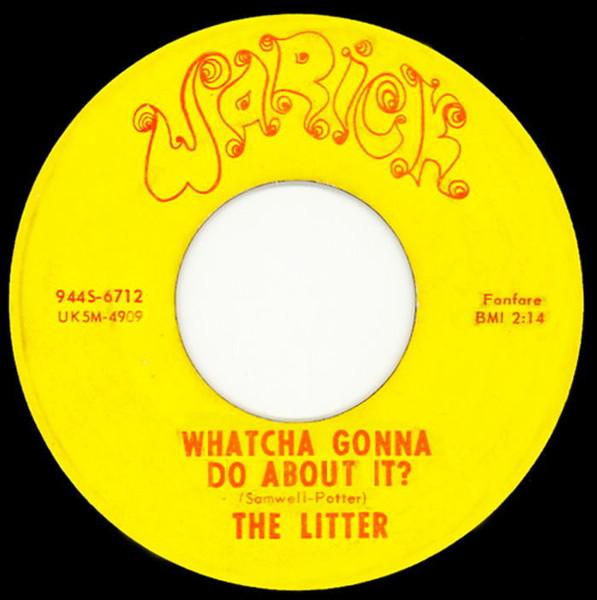 Whatcha Gonna Do About It? / Action Woman - The Litter