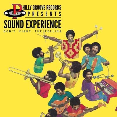  - Sound Experience