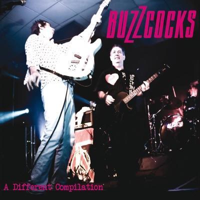  - Buzzcocks