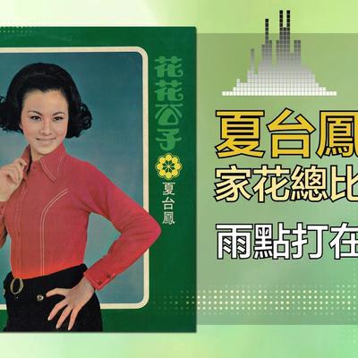 花花公子 - 夏台凤