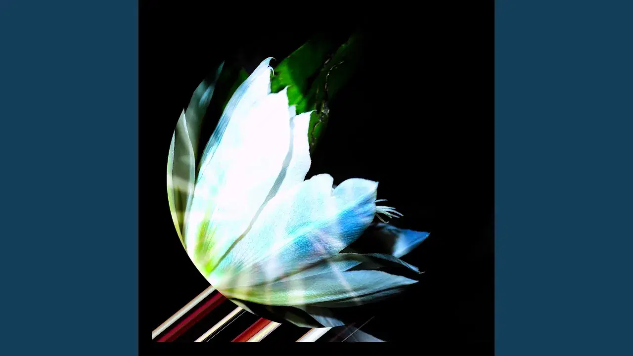 TiHKAL002 - Wordcolour