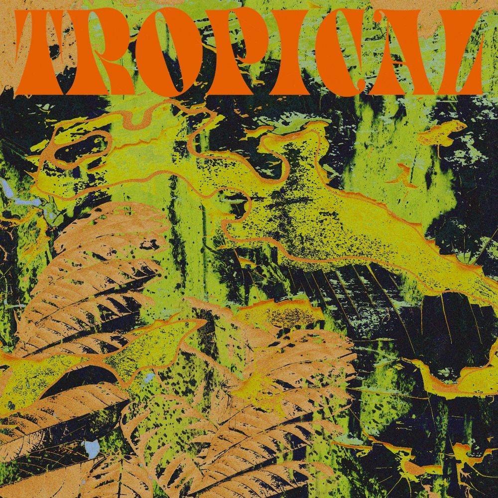 Tropical - CV Vision