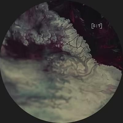 La Logia del Tiempo - Max Figueroa, Corell