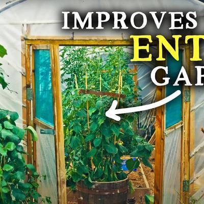 Intergalactic Gurners - Polytunnel