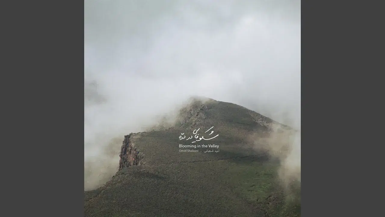 Blooming in the Valley - Omid Shabani