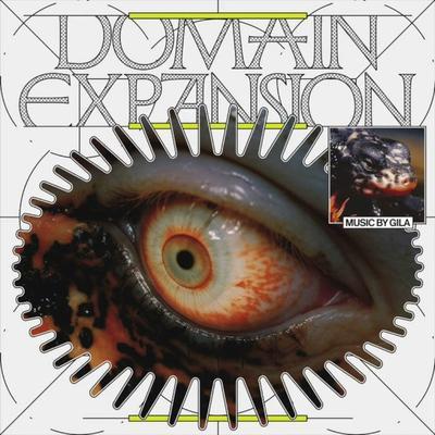 Domain Expansion - GILA