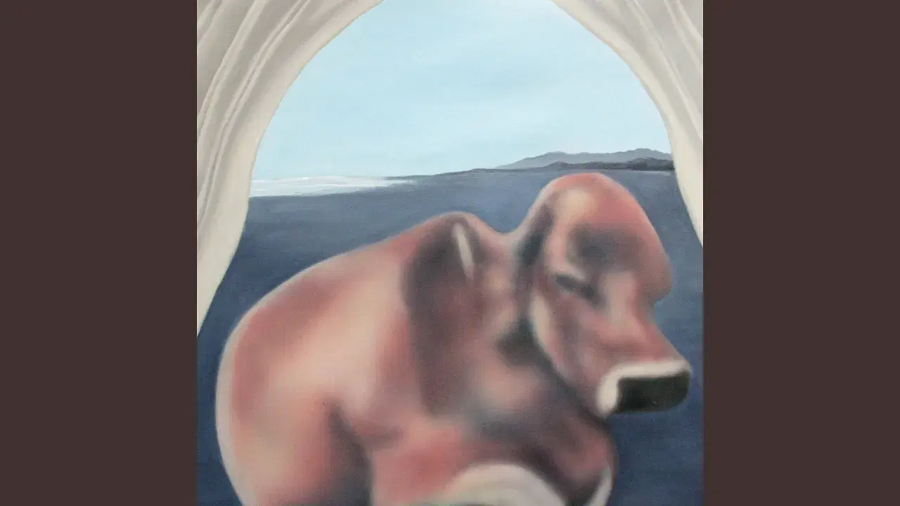 Curtains - Mikey Young
