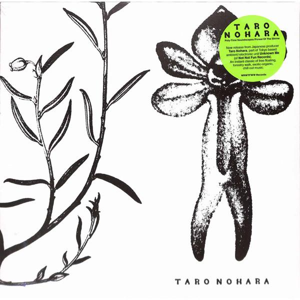Poly​-​Time Soundscapes / Forest Of The Shrine - Taro Nohara