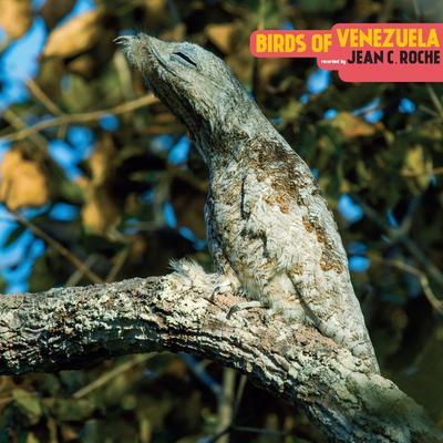 Oiseaux du Venezuela - Jean C. Roché